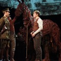 War Horse Australia Nicholls and Albert