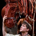War Horse Australia Joey and Albert (Cody Fern)