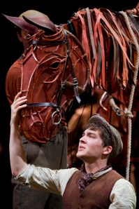 War Horse Australia Joey and Albert (Cody Fern)