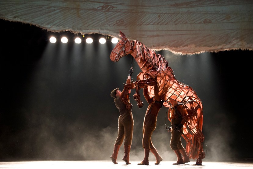 War Horse Australia Joey rearing