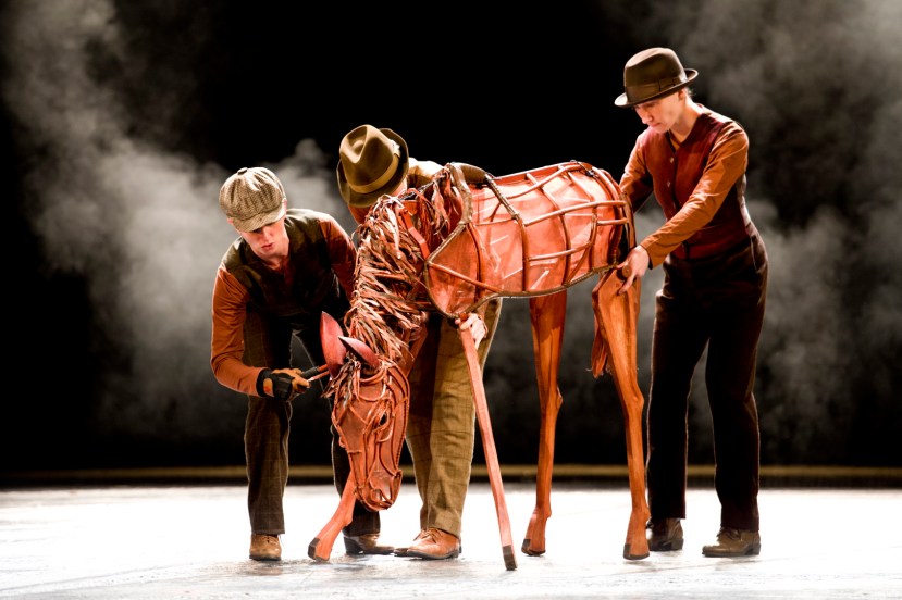 War Horse Australia young Joey