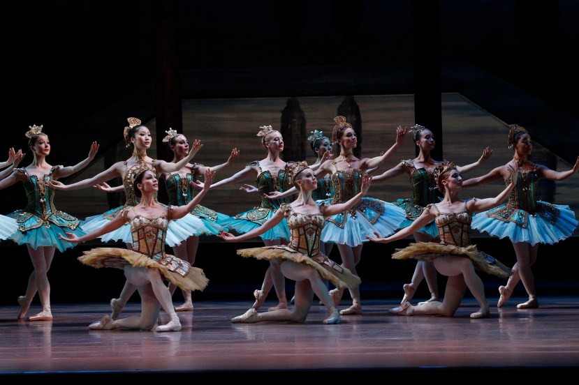 Artists of The Australian Ballet Don Quixote 2013