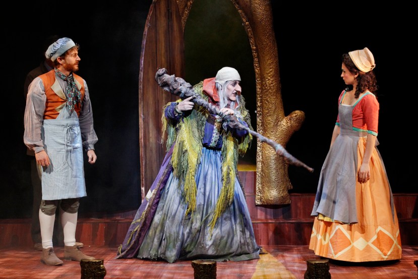 Victorian Opera 2014 Into the Woods, David Harris, Queenie van de Zandt, Christina O'Neill