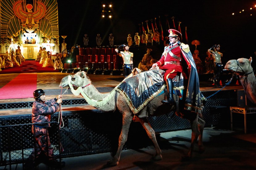 Aida 2015 Handa Opera on Sydney Harbour, Walter Fraccaro, camel