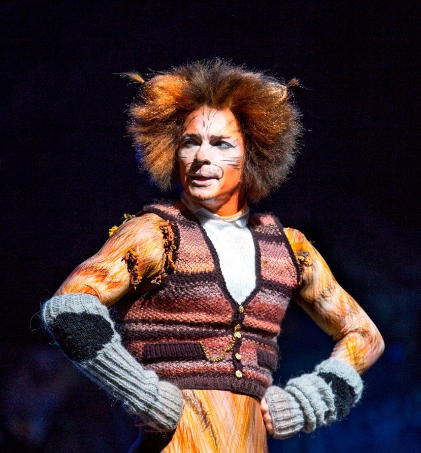 Cats, Ross Hannaford