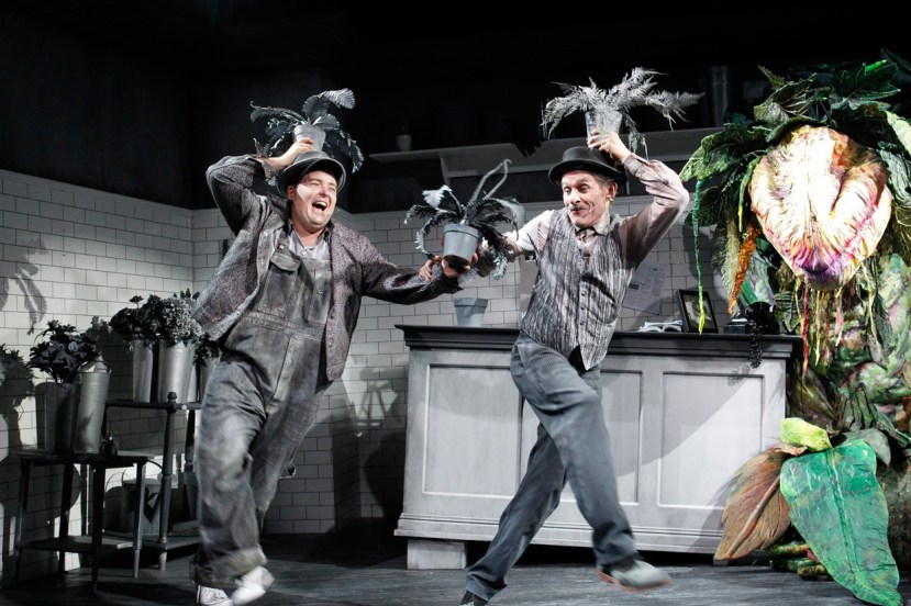 LITTLE SHOP OF HORRORS 2016 Brent-Hill,-Tyler-Coppin